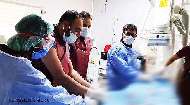 Van'da 2020'nin son bebeği dünyaya kritik geldi