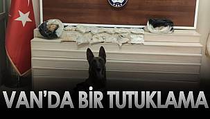 Van'da bir tutuklama