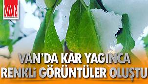 Van'da Kar Yağınca Renkli Görüntüler Oluştu