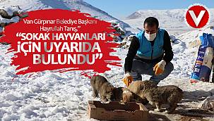 Başkan Tanış, Sokak hayvanları için uyarıda bulundu