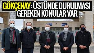 GÖKÇENAY: ÜSTÜNDE DURULMASI GEREKEN KONULAR VAR