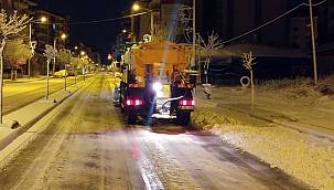 İklim Olayları Van'ın Temizliğine Engel Olmuyor