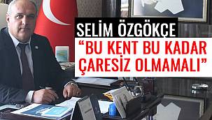  Selim Özgökçe 