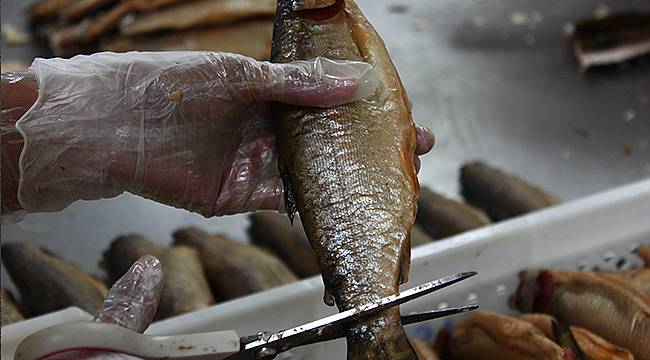 Su ürünleri sektörü pandemiye rağmen 1 milyar 53 milyon dolar ihracat yaptı