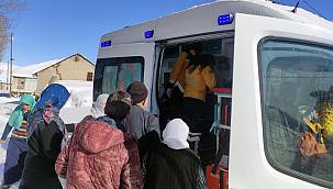 Van'da 10 yakın hastanın da hastaneye ulaştırılmasını sağladı