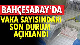 Bahçesaray'da Vaka Sayısındaki Son Durum Açıklandı