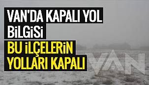 Van'da Kapalı yol bilgisi - Van'da birçok ilçenin yolları kapalı - Tam liste