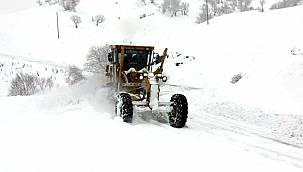 Van'da kar yağışı etkisini göstermeye başladı