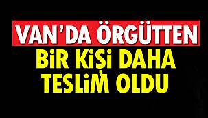 Van'da Örgütten Bir Kişi Daha Teslim Oldu