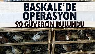 Başkale'de Operasyon- 90 Güvercin Bulundu
