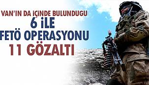 İçinde Van'ın da Bulunduğu 6 İle FETÖ Operasyonu - 11 Gözaltı