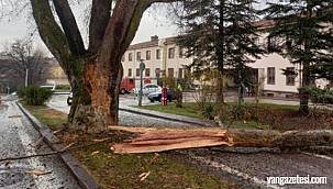  TBMM' bahçesine yıldırım düştü