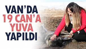 Van'da 19 Can'a Yuva Yapıldı