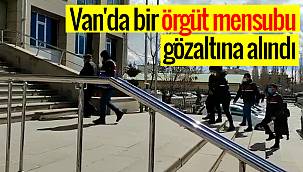 Van'da bir örgüt mensubu gözaltına alındı