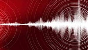 Van'da korkutan deprem