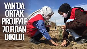Van'da ortak projeyle 70 fidan dikildi