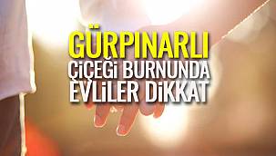 Gürpınarlı Çiçeği Burnunda Evliler Dikkat! 
