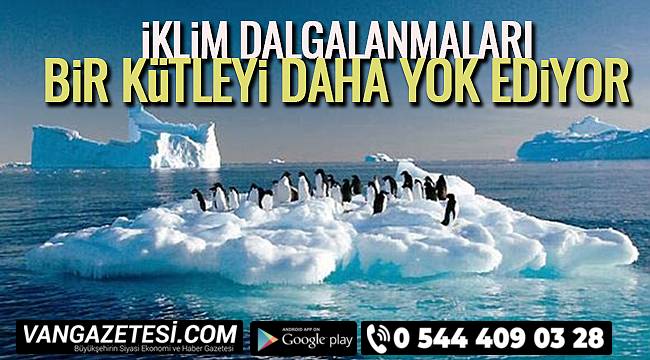 İklim Dalgalanmaları Bir Kütleyi Daha Yok Ediyor