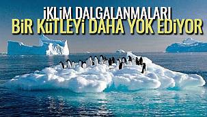 İklim Dalgalanmaları Bir Kütleyi Daha Yok Ediyor