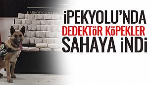 İpekyolu'nda Dedektör Köpekler Sahaya İndi