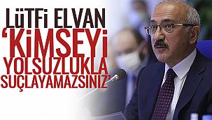 Lütfi Elvan, 