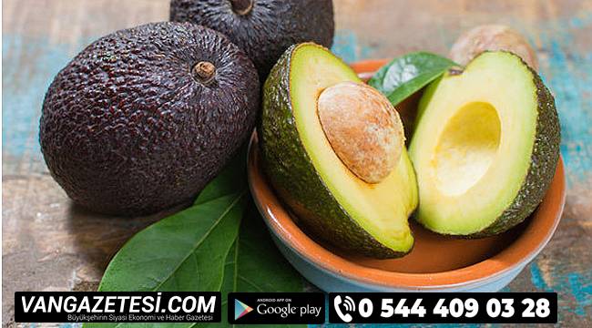 Sülfatsız Aloe ve Avokado Serisi ile Saç ve Saç Derin Neme Doysun!