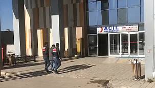 Van'da 2 örgüt mensubu yakalandı