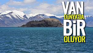 Van Dünyada 'Bir' Oluyor