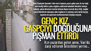 Vanlı genç kız, gaspçıyı doğduğuna pişman ettirdi - 1 Tutuklama