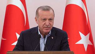 Erdoğan, Danıştay, vazgeçilmez bir konuma sahiptir