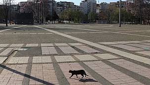 Tam kapanma bir hafta daha uzatılacak iddiaları