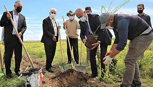Tuşba'da 6 bin adet ceviz ve badem fidanı toprak ile buluşturuldu