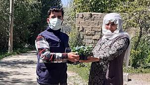 Van'da 120 bin sebze fidesi dağıtımı, duyan kaptı
