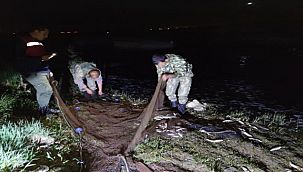 Van'da 16 Ton 200 Kilogram İnci Kefali Ele Geçirildi