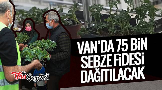 Van'da 75 bin sebze fidesi dağıtılacak