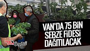 Van'da 75 bin sebze fidesi dağıtılacak