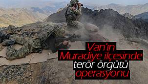 Van'ın Muradiye ilçesinde terör örgütü operasyonu - 1 tutuklama