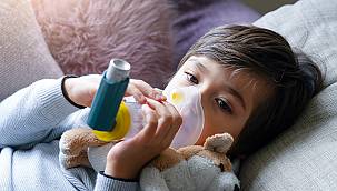 Vanlı çocukların sağlığı, soludukları havanın kalitesine bağlı