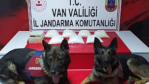  Dedektör Köpekler Aşil ve Barut iş başında