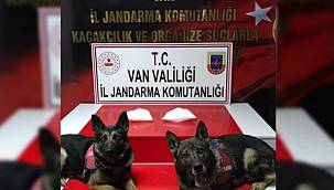 Van’da uyuşturucu operasyonu! 