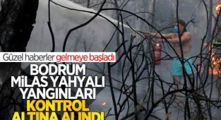 Muğla'nın Bodrum ve Milas ilçelerindeki orman yangını
