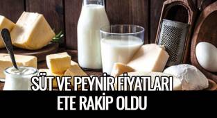 Süt ve peynir fiyatları ete rakip oldu