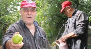 BÜYÜK BİR HAZİNE NİTELİĞİNDE OLAN 'SÜBET AYDIN'
