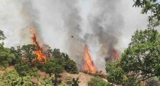 Tunceli ve Bingöl'deki yangınlar hakkında açıklama