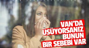 VAN'DA ÜŞÜYORSANIZ BUNUN BİR SEBEBİ VAR