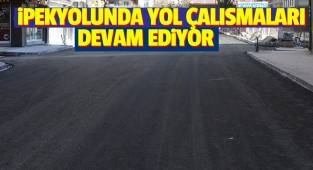 Van'da yol çalışmaları tam hız devam ediyor
