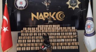 Van'da sokak satıcılarına büyük darbe 