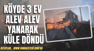 Haber - Köyde 3 ev alev alev yanarak küle döndü