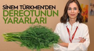 Sinem Türkmen, dereotunun faydaları hakkında bilgi verdi
