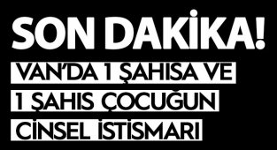 Van'da 1 Şahısa ve 1 Şahıs Çocuğun Cinsel İstismarı, 1 Şahıs Cinsel Taciz
